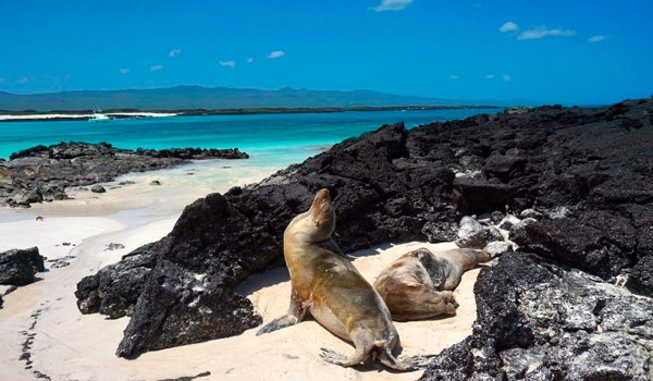 Galapagos